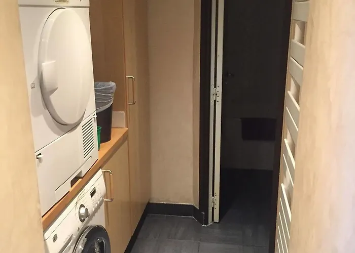 شورت ستاي باريس