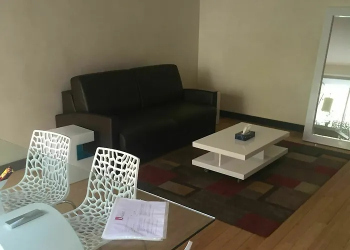 شورت ستاي شقة باريس